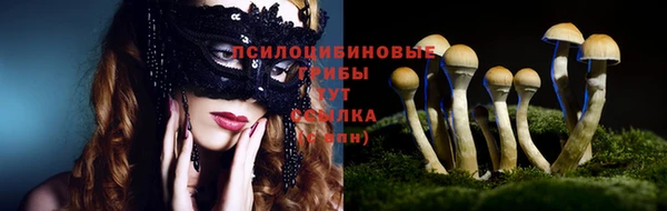 метадон Каменногорск