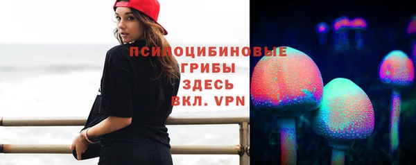 метадон Каменногорск